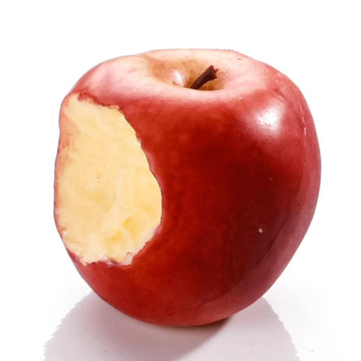 Angebissener Roter Apfel-Lebensmittel-Attrappe 7,5 Cm Ø
