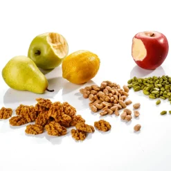 Angebissener Roter Apfel-Lebensmittel-Attrappe 7,5 Cm Ø