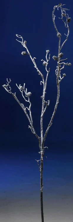 Beschneiter Ast, 140 Cm