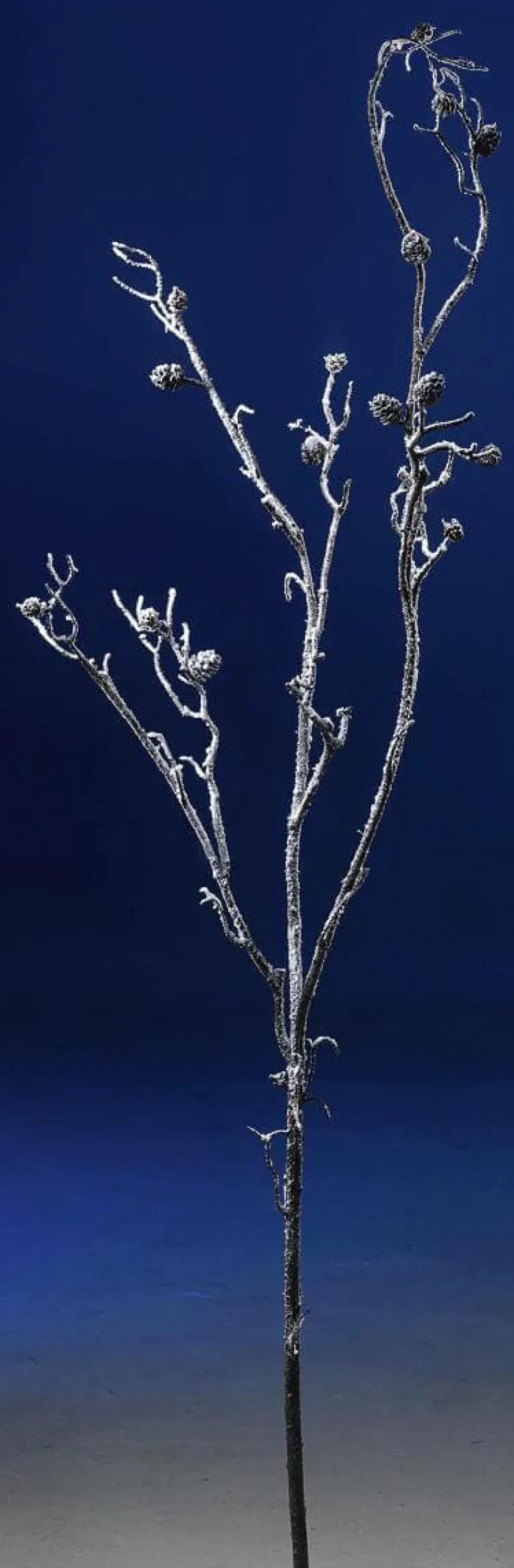 Beschneiter Ast, 140 Cm