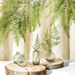 Birkenscheibe 3er Set 16 & 15 Cm Ø X 2 Cm Stärke