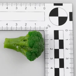 Brokkoli Blanchiert Lebensmittel-Attrappe, 100 G