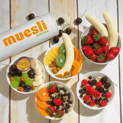 Brombeeren Lebensmittel-Attrappe, 24 Stück