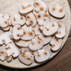 Champignon-Scheiben Lebensmittel-Attrappe, 12 Stück