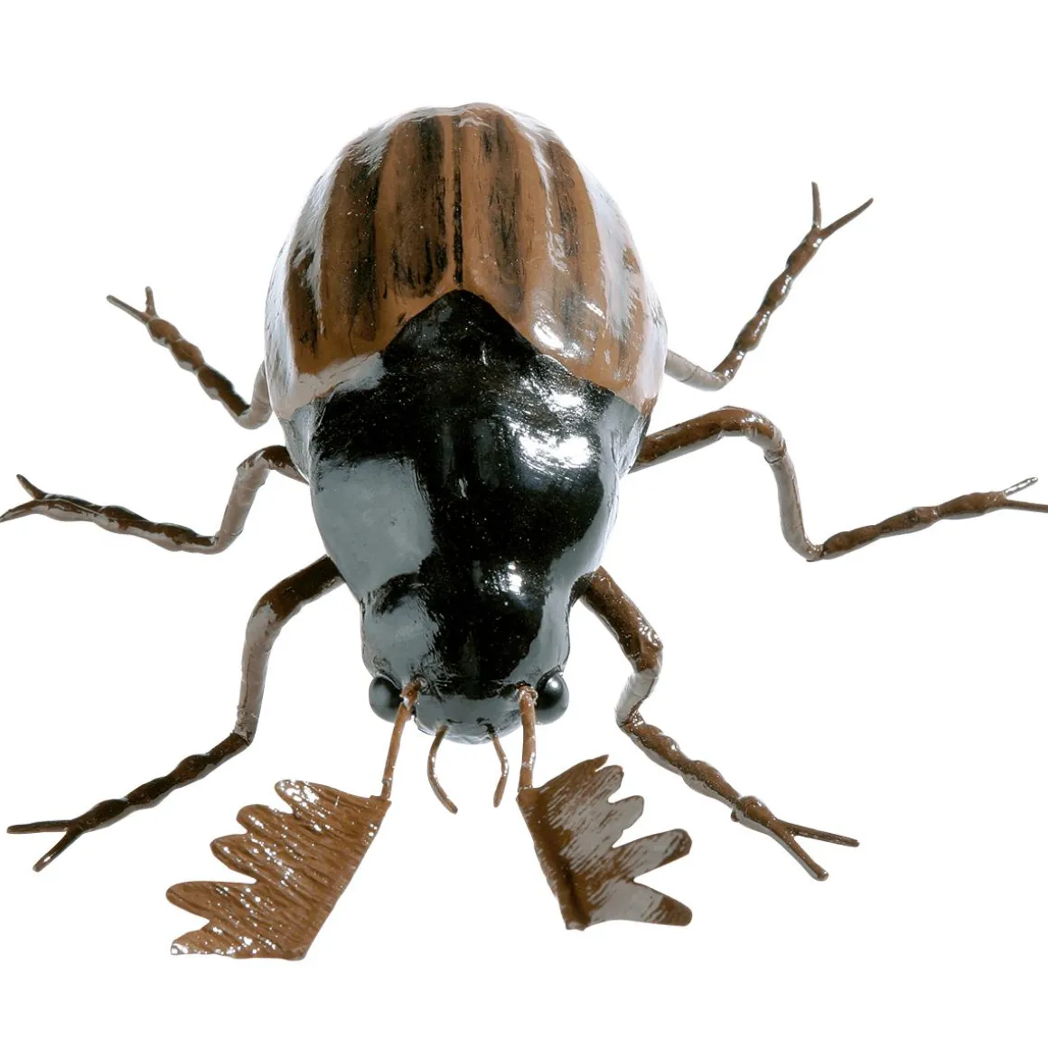 Deko Maikäfer, 20 Cm