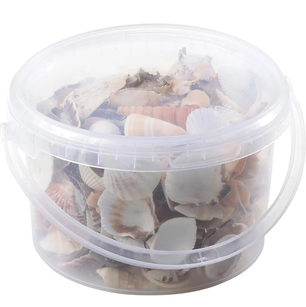 Deko Muscheln Und Schnecken, 1400 G