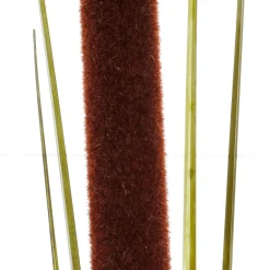 Deko Schilfgras, Pack á 3 Stück