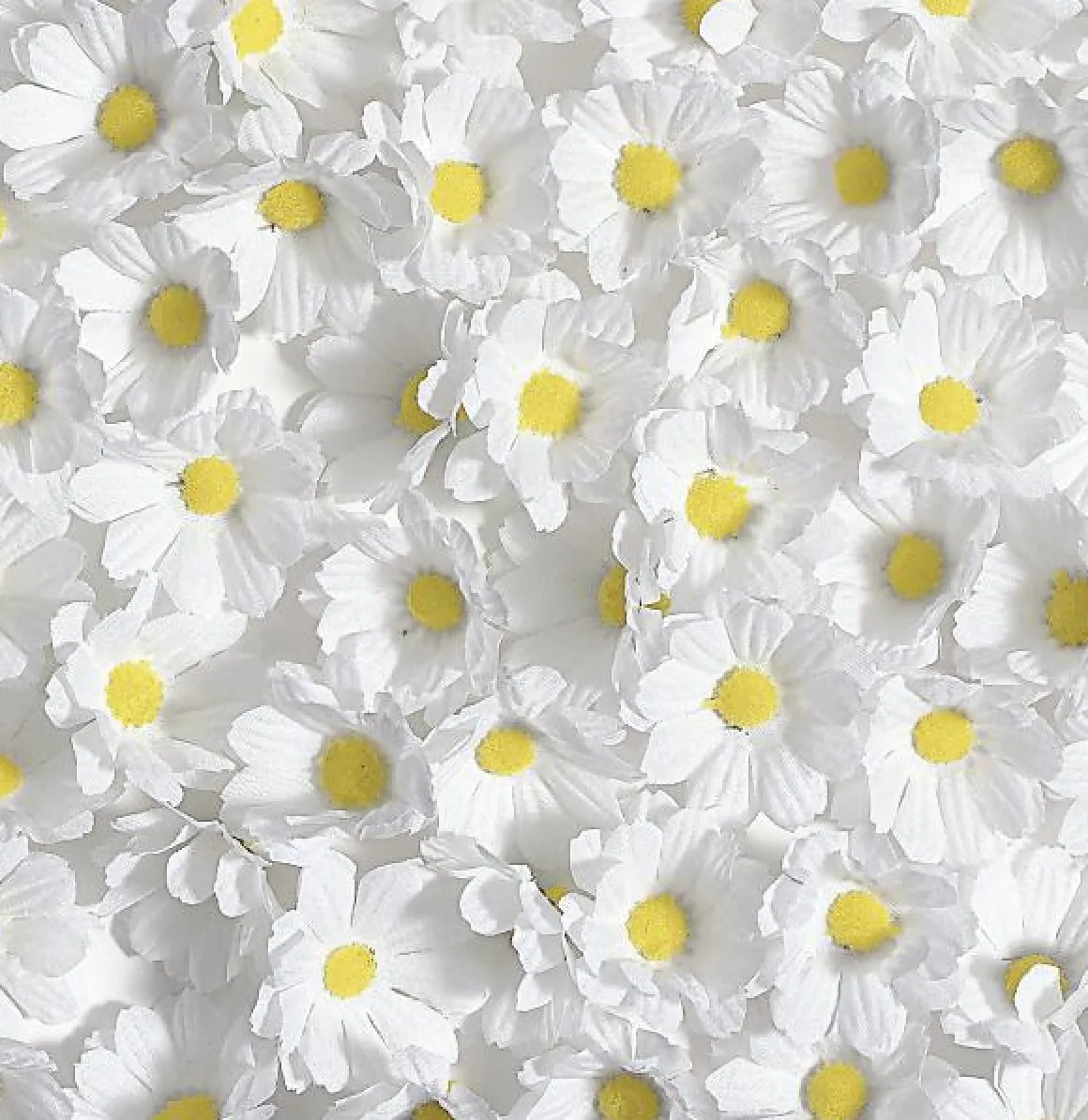 Dekoblüten Margeriten, 72 Stück