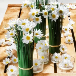 Dekoblüten Margeriten, 72 Stück