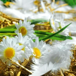 Dekofedern Weiß, 20 G