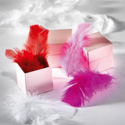 Dekofedern Weiß, 20 G