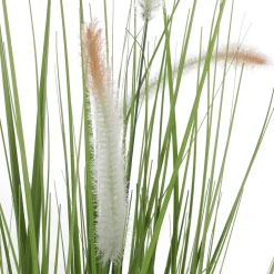 Deko-Lampenputzergras Im Schwarzen Topf B1, 54 Cm