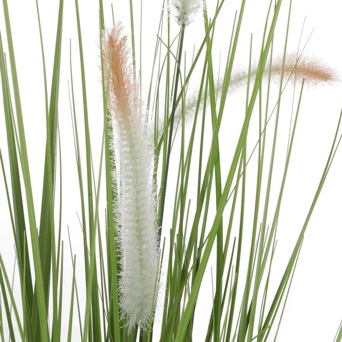 Deko-Lampenputzergras Im Schwarzen Topf B1, 54 Cm