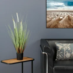 Deko-Lampenputzergras Im Schwarzen Topf B1, 54 Cm