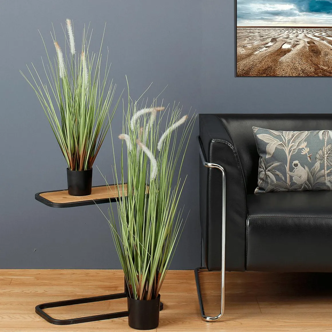 Deko-Lampenputzergras Im Schwarzen Topf B1, 54 Cm