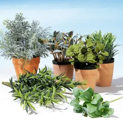 Deko-Minze Im Ton-Topf 20 Cm