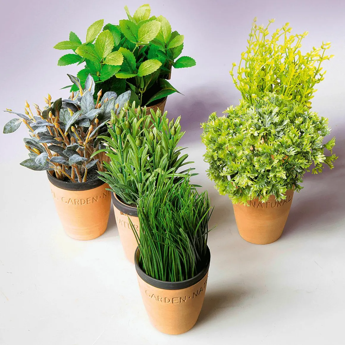 Deko-Minze Im Ton-Topf 20 Cm