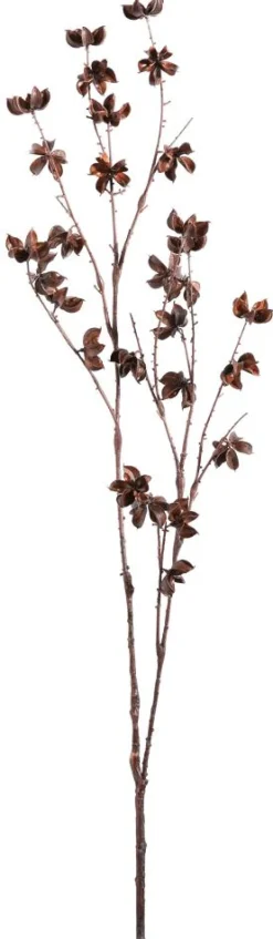 Dekozweig Baumwoll-Fruchtstand 110 Cm