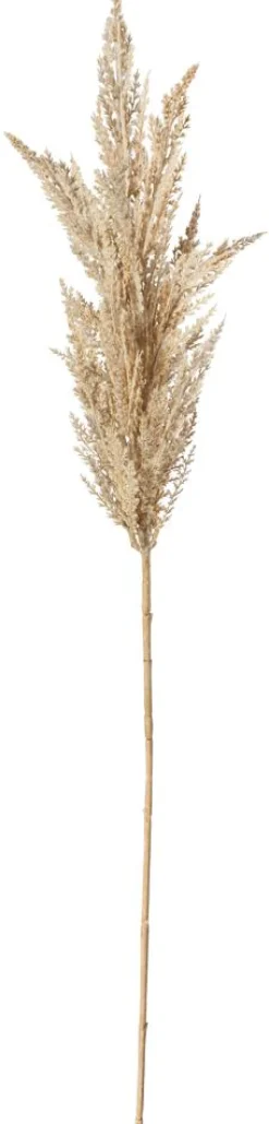 Dekozweig Schilfblüte, 94 Cm