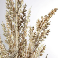 Dekozweig Schilfblüte, 94 Cm