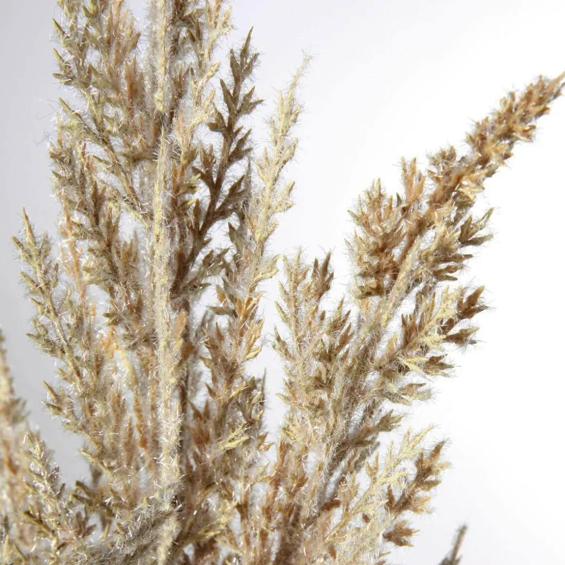 Dekozweig Schilfblüte, 94 Cm