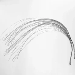 Dekozweig Silbergras, Pack á 2 Stück