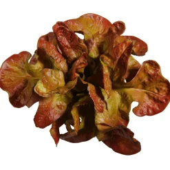 Eichblattsalat Rot Lebensmittel-Attrappe, 23 Cm Ø