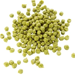 Erbsen Blanchiert Lebensmittel-Attrappe, 100 G