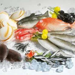 Forellenzopf Lebensmittel-Attrappe 35 Cm