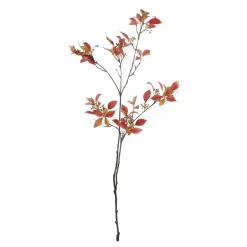 Herbstlicher Laubzweig Mit Beeren 114 Cm