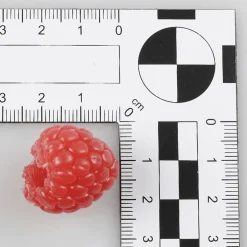 Himbeeren Lebensmittel-Attrappe, 12 Stück