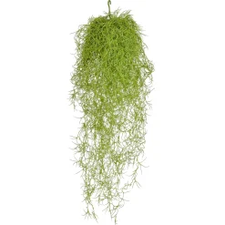 Künstliche Asparagus Schwer Entflammbar B1, 75 Cm