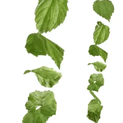 Künstliche Birkenblättergirlande 160 Cm