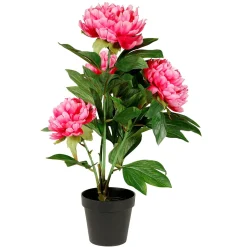 Künstliche Pfingstrose Im Topf