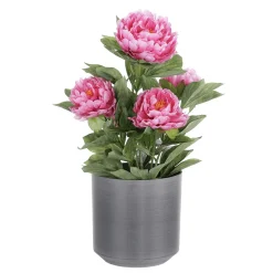 Künstliche Pfingstrose Im Topf