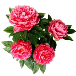 Künstliche Pfingstrose Im Topf