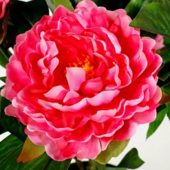 Künstliche Pfingstrose Im Topf