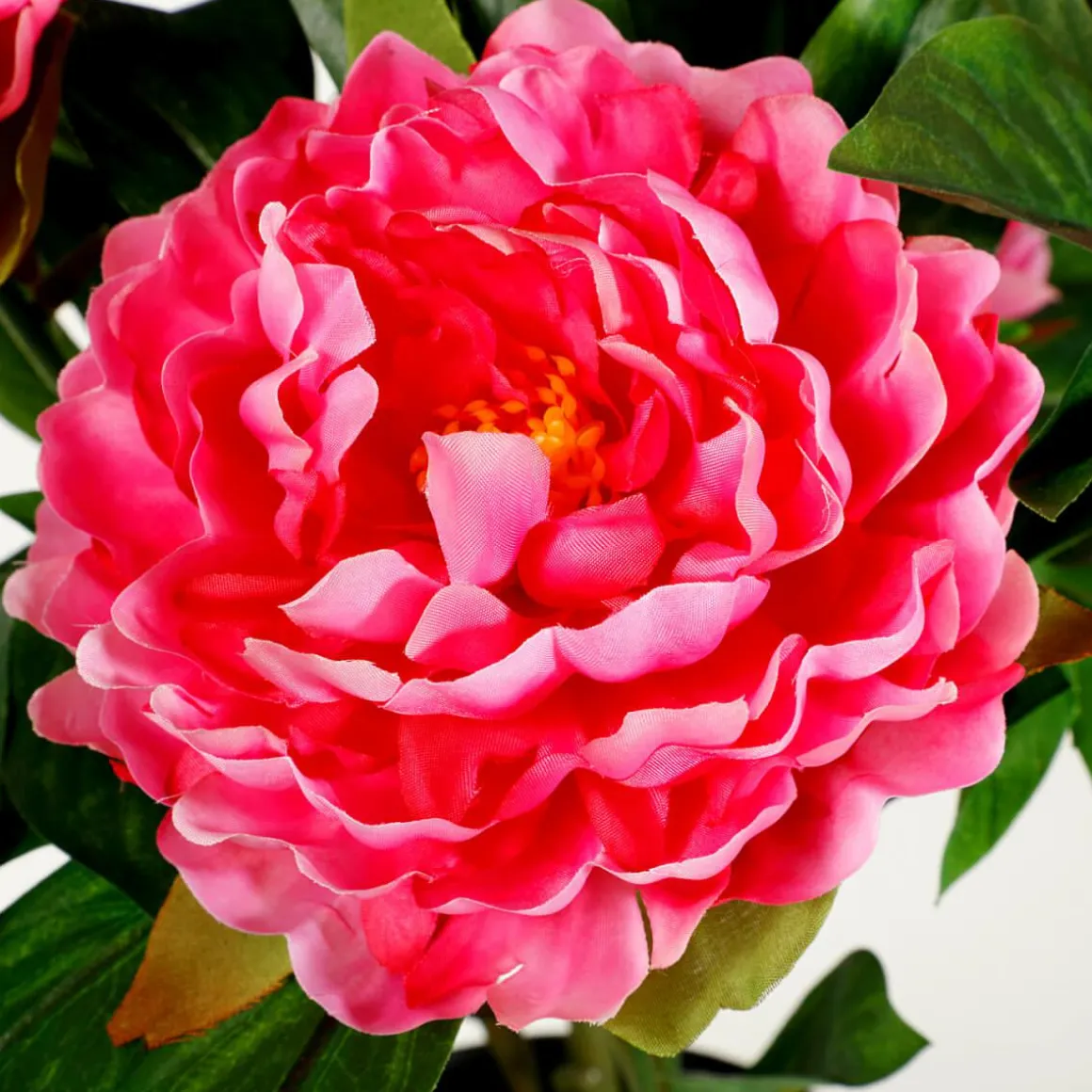 Künstliche Pfingstrose Im Topf