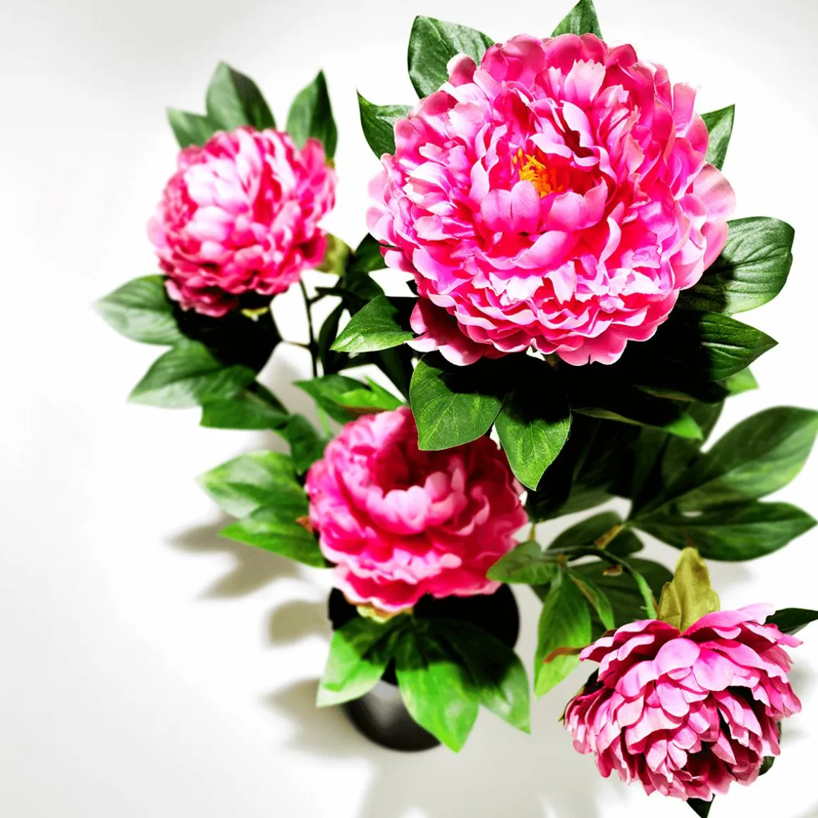 Künstliche Pfingstrose Im Topf