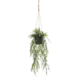 Künstliche Zierspargel Asparagus Hänge-Ampel 20 X 50 Cm