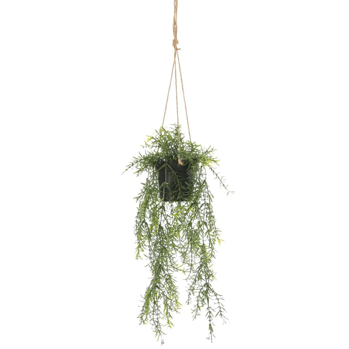 Künstliche Zierspargel Asparagus Hänge-Ampel 20 X 50 Cm