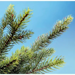 Künstlicher Christbaum Douglastanne Mit LED 210 Cm