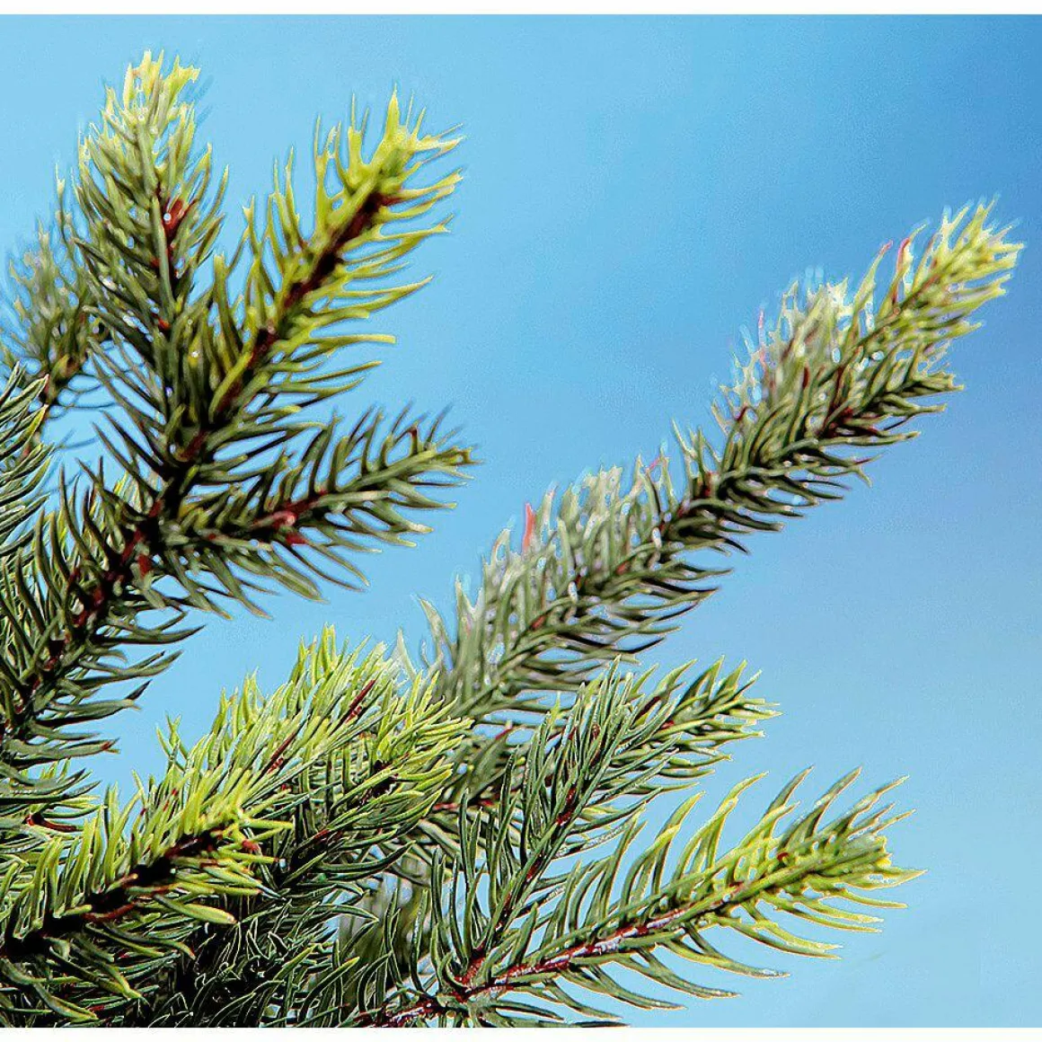 Künstlicher Christbaum Douglastanne Mit LED 210 Cm