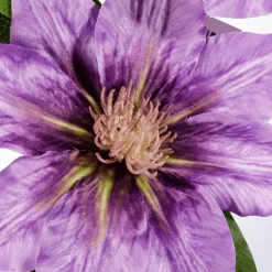 Künstlicher Clematis-Zweig Lila, 80 Cm