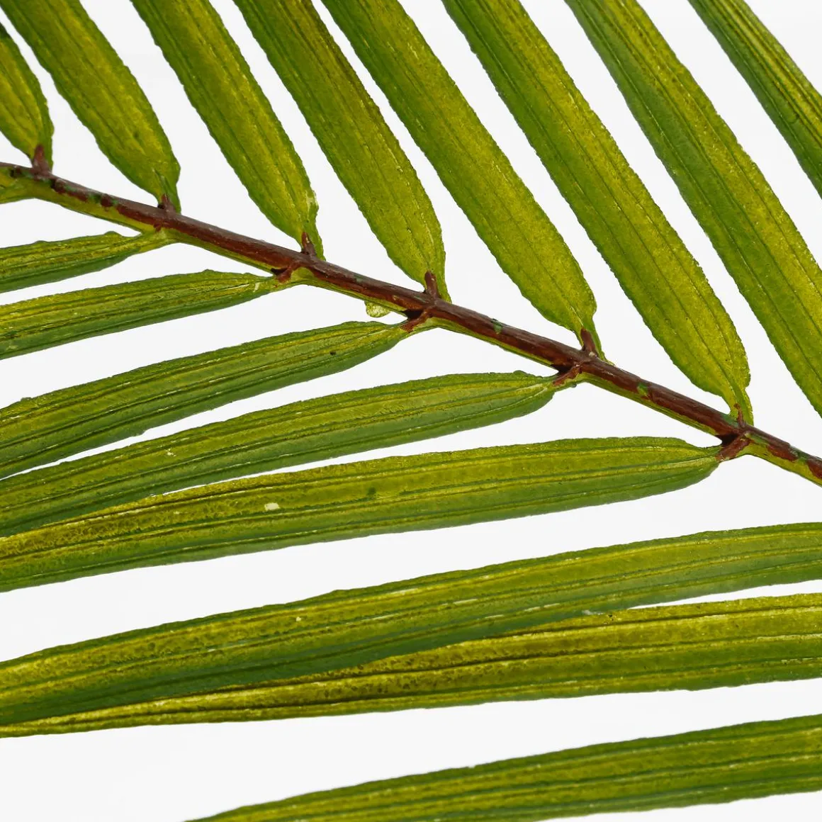 Künstlicher Palmbusch Palmwedeln-Busch 80 Cm