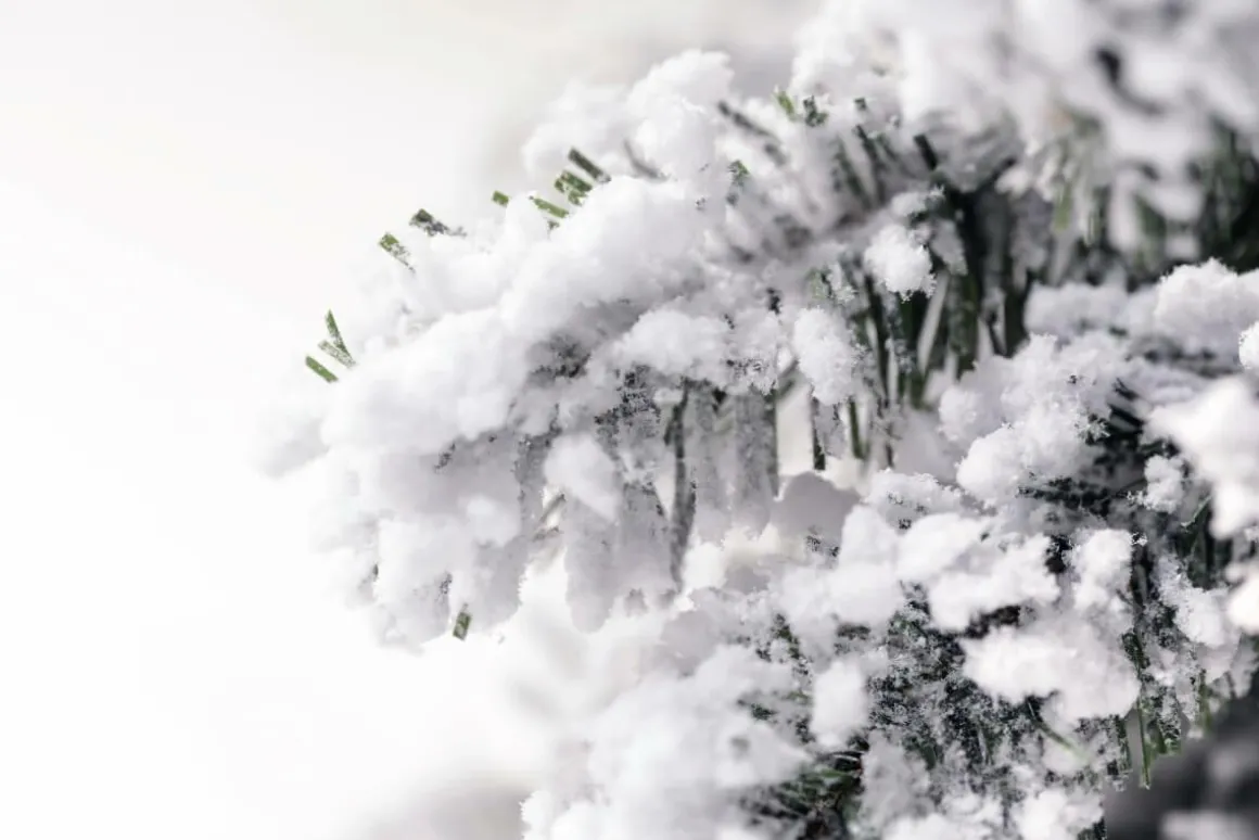 Künstlicher, Schmaler Tannebaum, Beschneit 150 Cm