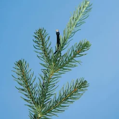 Künstlicher Spritzguss-Weihnachtsbaum Rottanne Mit LED 180 Cm