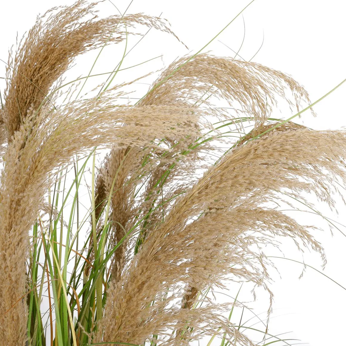 Künstliches Schilfgras Im Topf 40 X 150 Cm