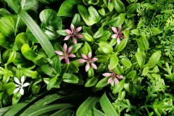 Künstliches Wandgarten-Paneel, 75 Cm