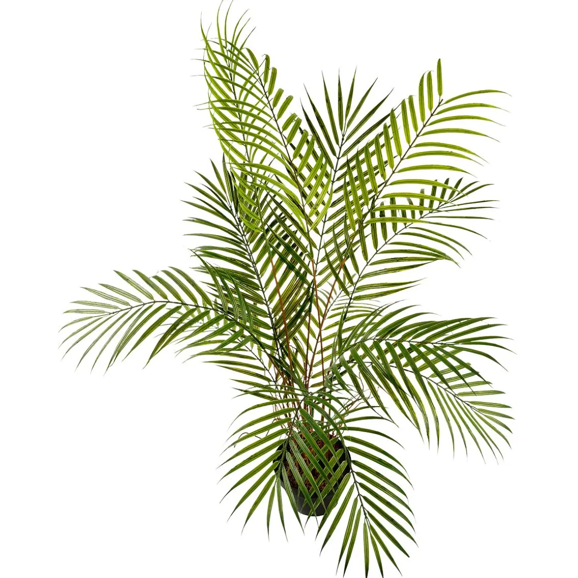 Kunstpalme Areca Im Topf, 80 Cm